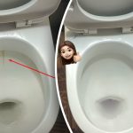 Eén product maakt je toiletpot stralend wit: hoe je tandplak