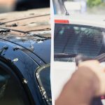 Vogels schijten niet meer op auto's: dit is wat je moet doen Vogels schijten niet meer op auto’s: dit is wat je