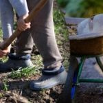 Zaaikalender voor september 2025: wat te doen in de tuin